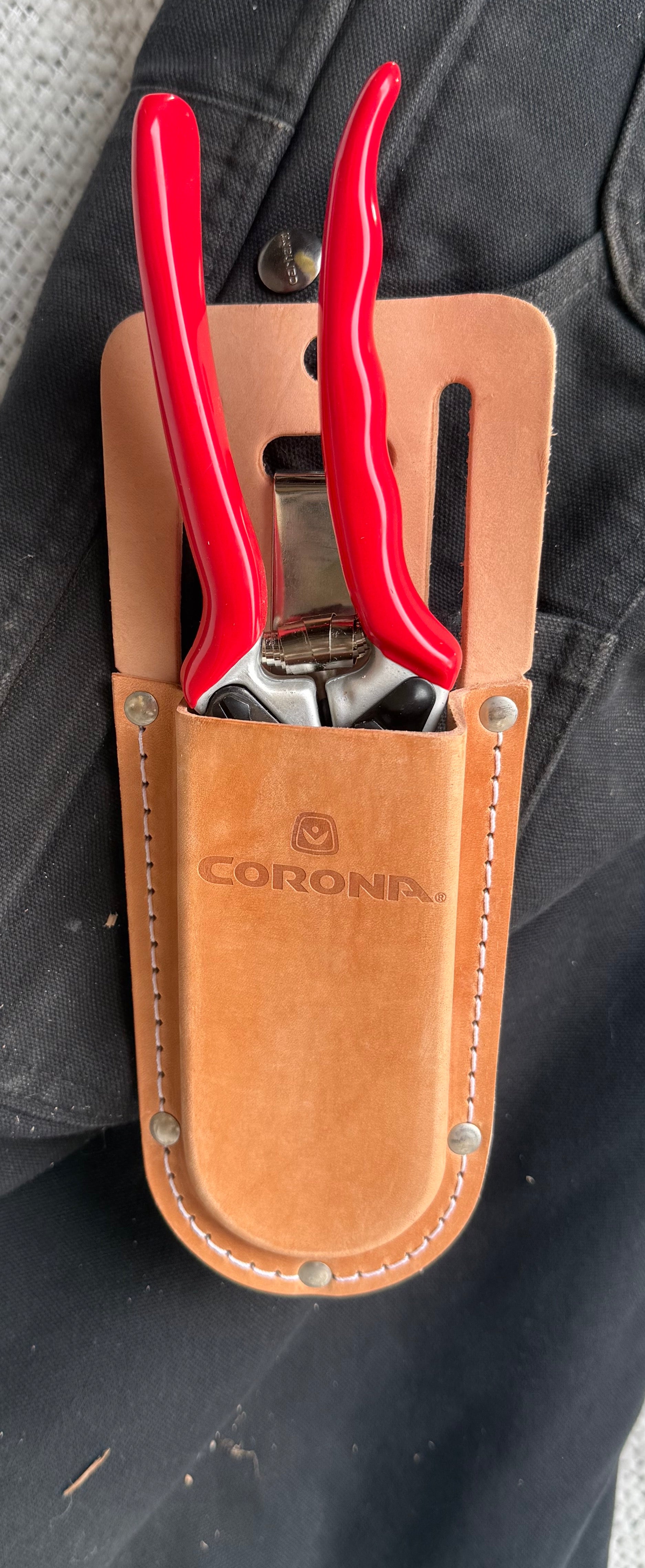 Leather Scabbard for Hand Pruners and Folding Saws
