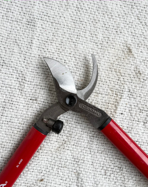29" Corona Economy  Loppers  w/ Aluminum Handles