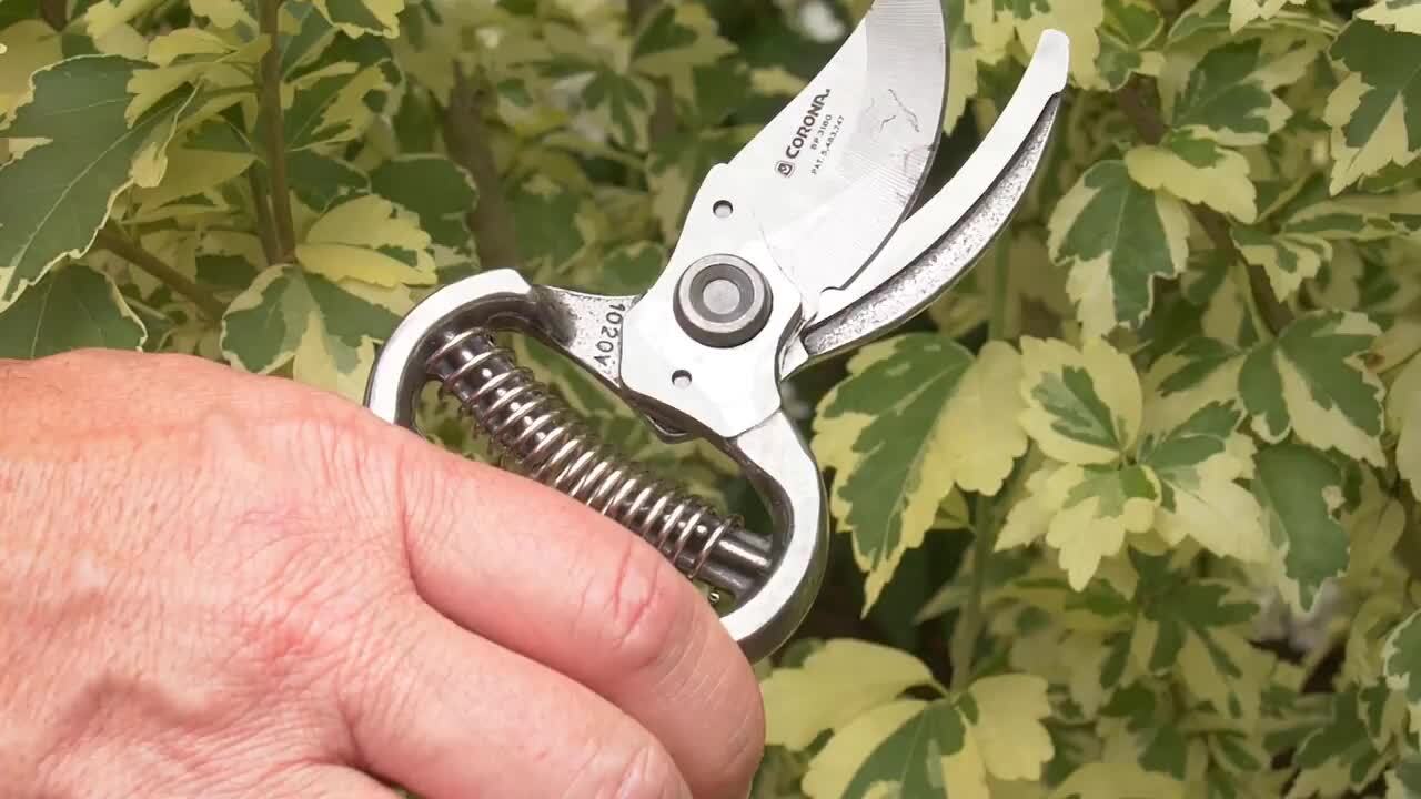 ClassicCUT® Bypass Pruner, 1 in. Cut Capacity
